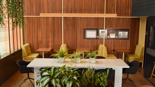 11Portlandstreet1502220099